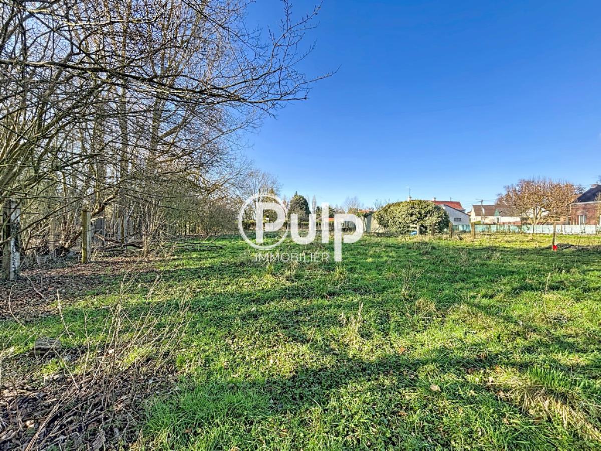 vente Terrain Rieulay (59870) réf:somf45 - Pulp Immobilier