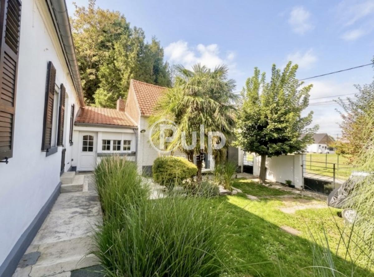 vente Maison Noyelles Sous Bellonne (62490) réf:bsvf22 - Pulp Immobilier