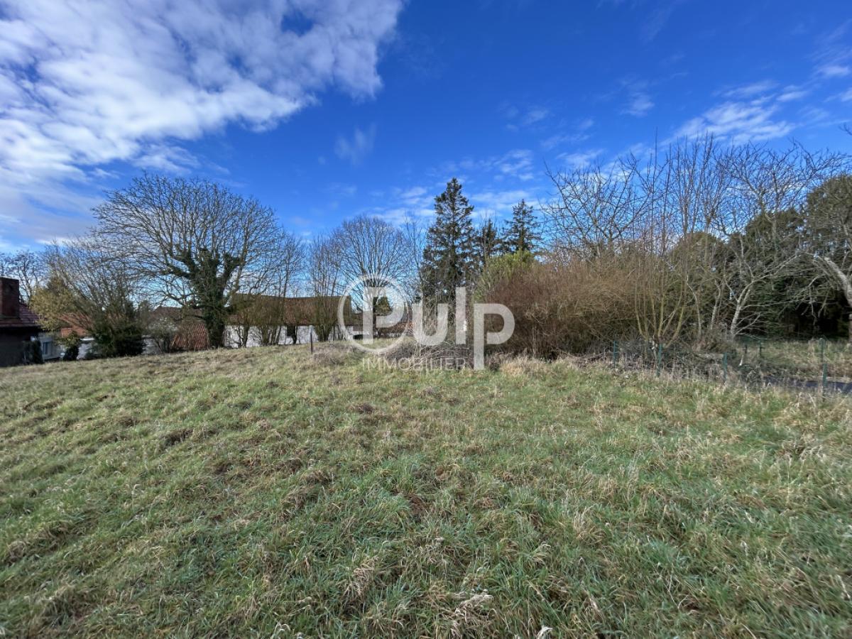 vente Terrain Mont Saint Eloi (62144) réf:seg18237 - Pulp Immobilier